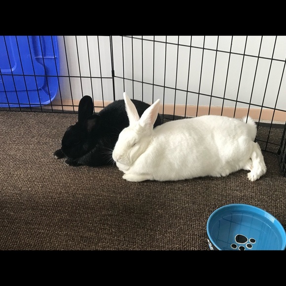 Meet your Posher, Becca - Picture 2 of 6